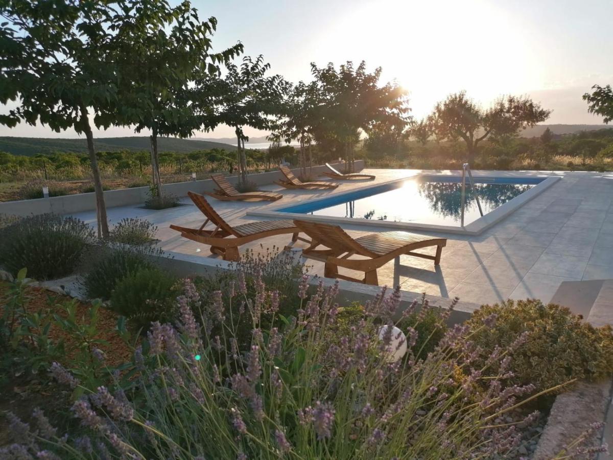 Villa Jelena Zadar Eksteriør billede